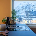 Groups And Families - Parking & Near Attraction Tromso