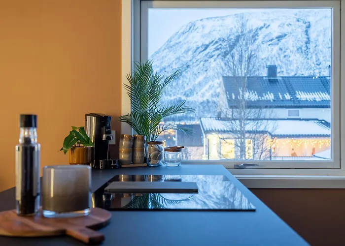 Groups And Families - Parking & Near Attraction Tromsø